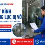 Thay Kính Cường Lực Bị Vỡ: 7 Việc Cần Làm Ngay 31 01 khao sat kinh cuong luc bi vo